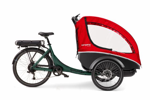 Kangaroo Dog_Forrest_Green_Red