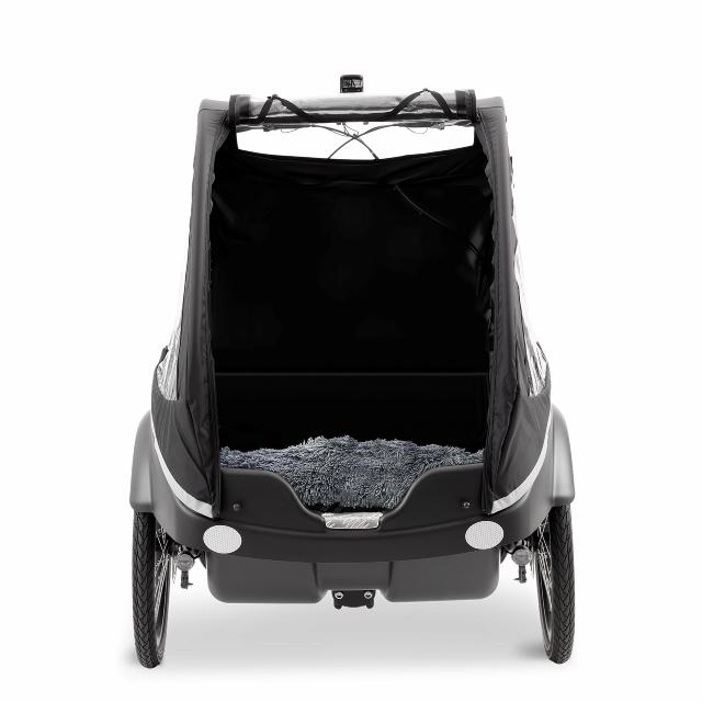 Kangaroo Dog_Black_Black