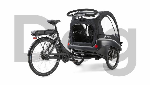 Copy of Kangaroo Luxe