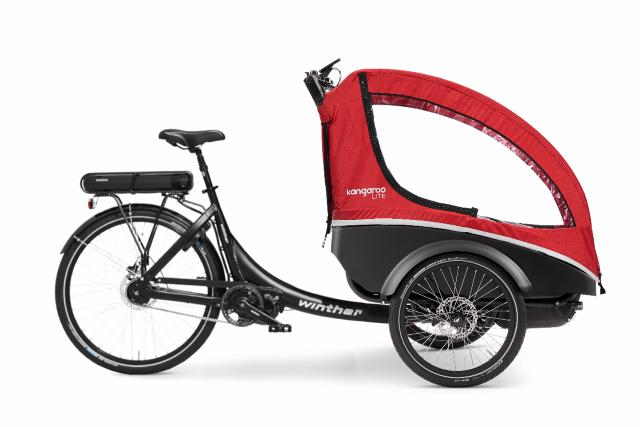 Kangaroo Dog_Black_Red