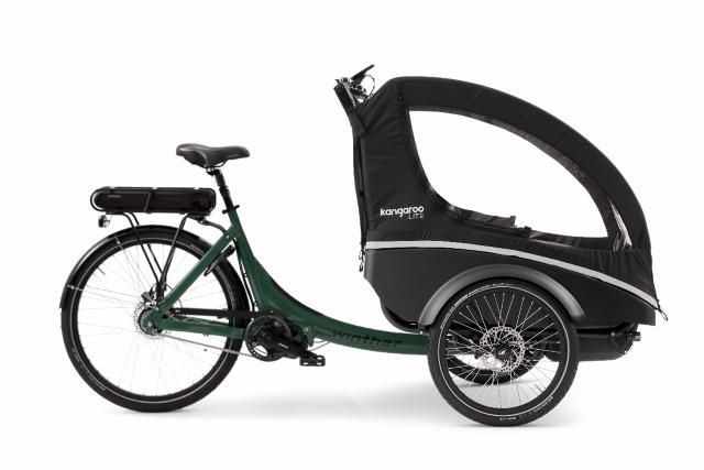 Kangaroo Dog_Forrest_Green_Black