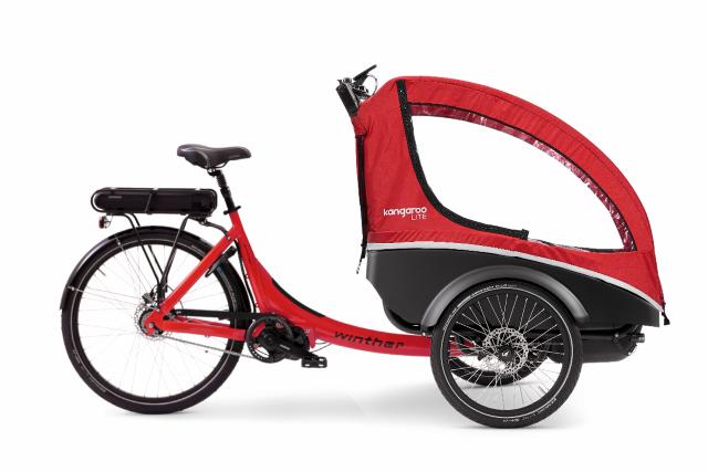 Kangaroo Dog_Red_Red