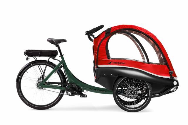 Kangaroo Luxe_Forrest_Green_Red